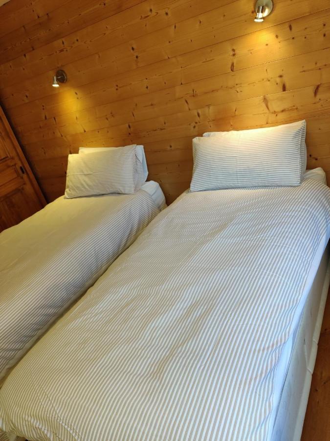 Spacious Ski Chalet In Traditional French Village, Sleeps 8, Four Star With Fibre Broadband Abondance Kültér fotó